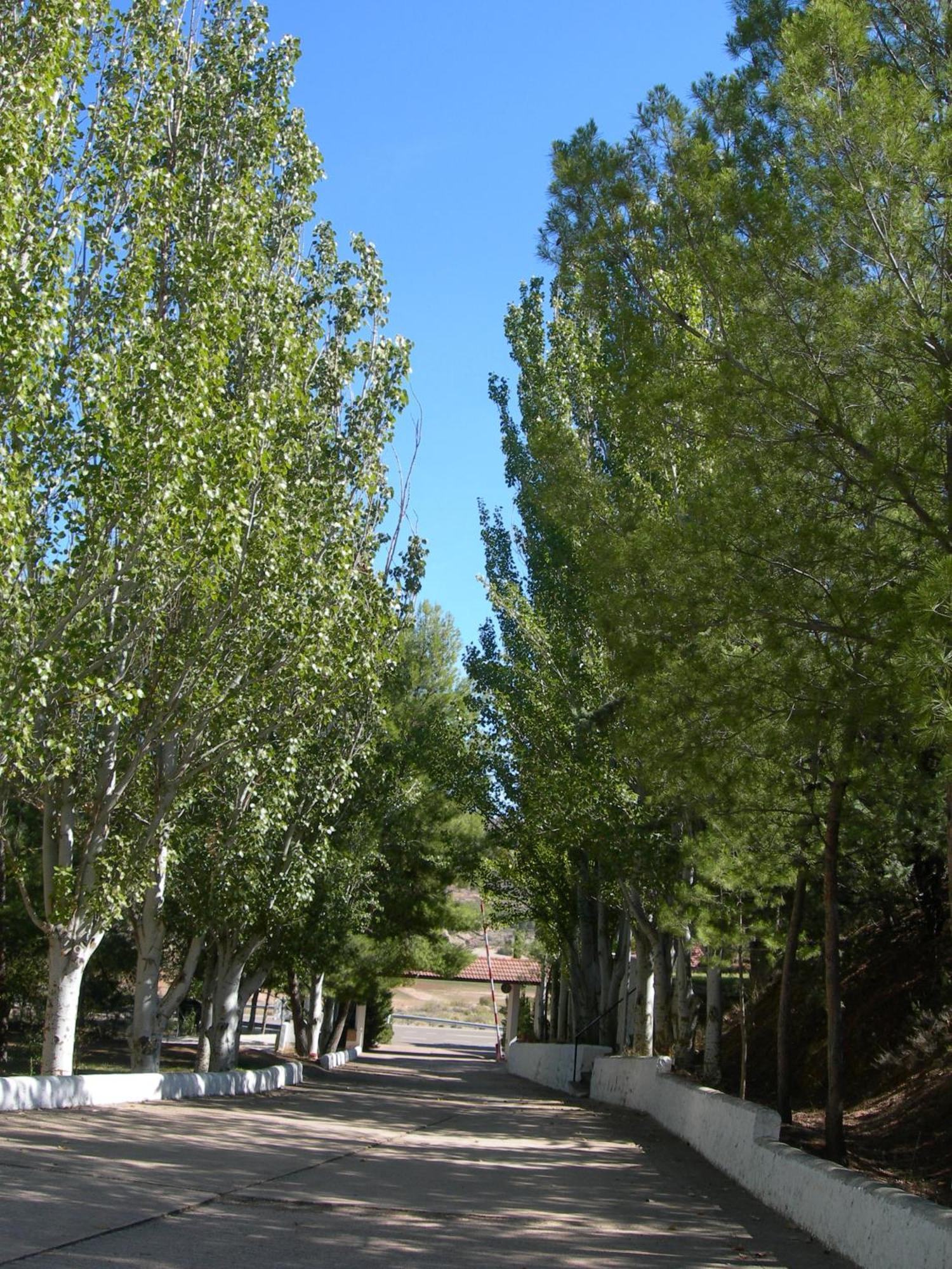 Lago Resort Nuevalos Bagian luar foto