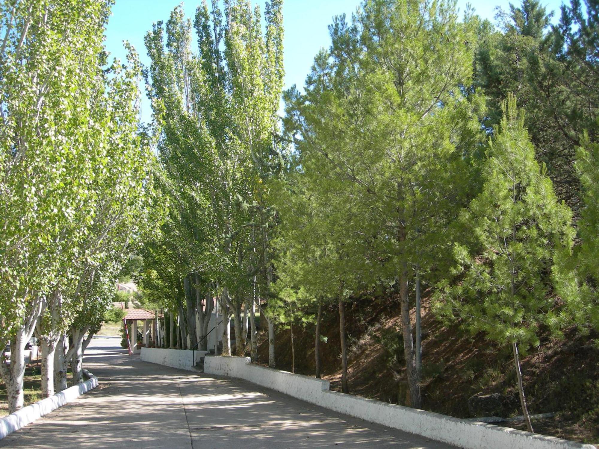 Lago Resort Nuevalos Bagian luar foto