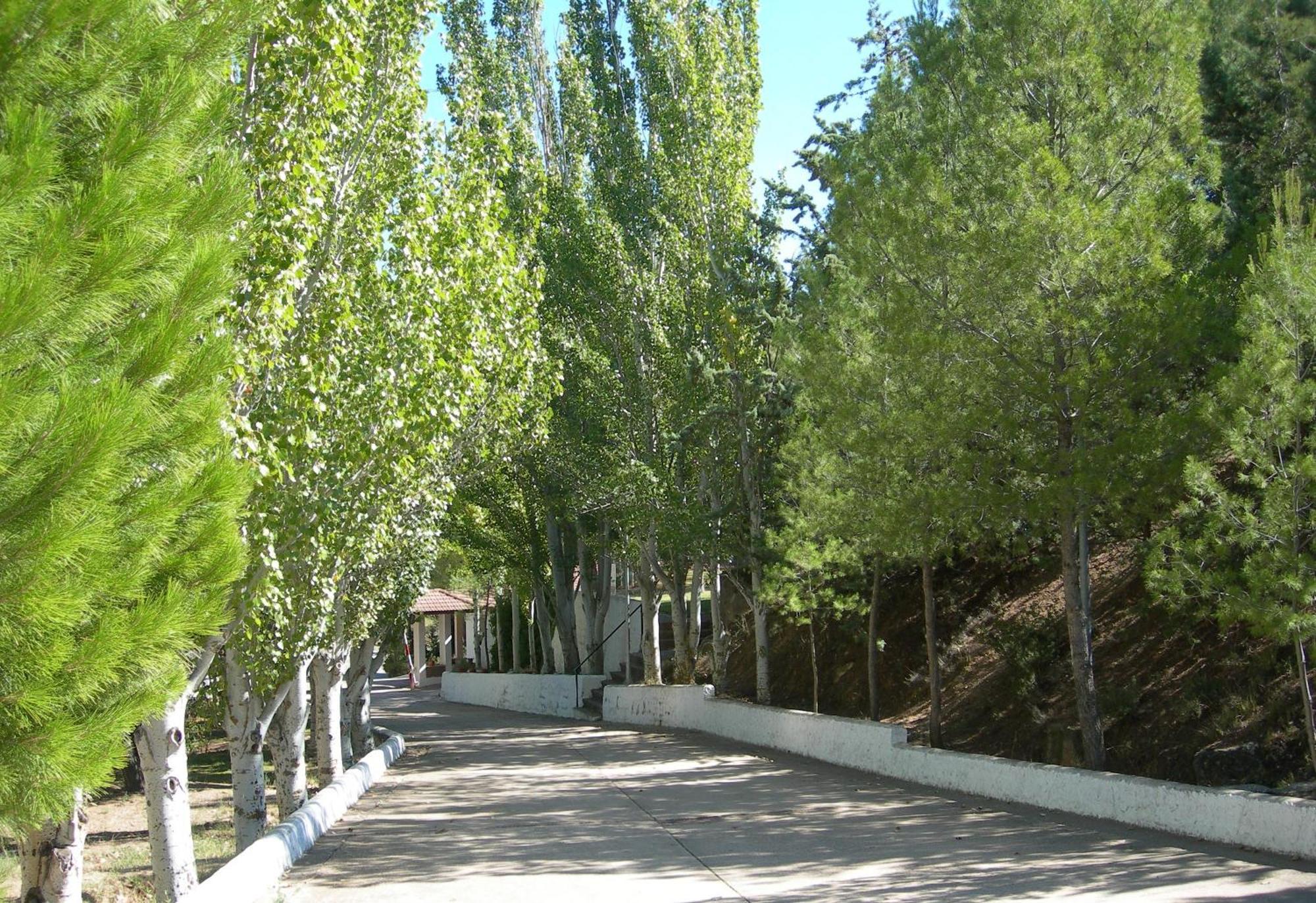 Lago Resort Nuevalos Bagian luar foto